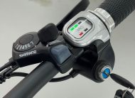ELECTRIC BIKES