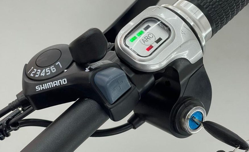 ELECTRIC BIKES